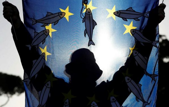 sardine a san Giovanni Roma dicembre 2019